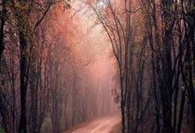 开云体育app-斯洛文尼亚女足惊险胜马其顿，挺进欧洲杯决赛阶段