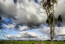 开云体育在线-31分力克篮网！乔治赛后宣言点燃更衣室：这艘船永不抛锚