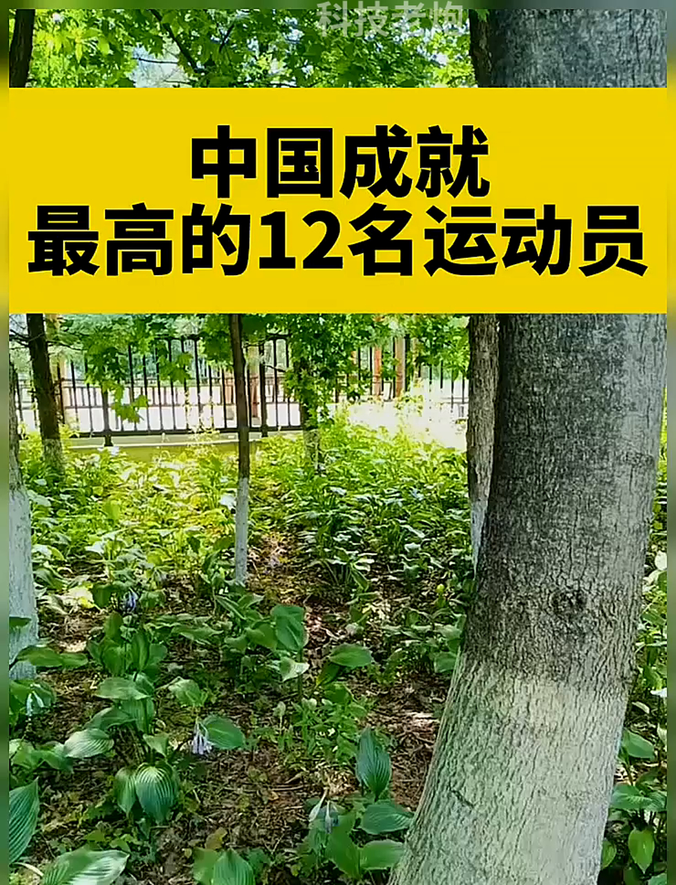 运动员的特异技能收获赞誉,体育界备受瞩目的简单介绍 运动员的特异技能收获赞誉,体育界备受瞩目的简单介绍