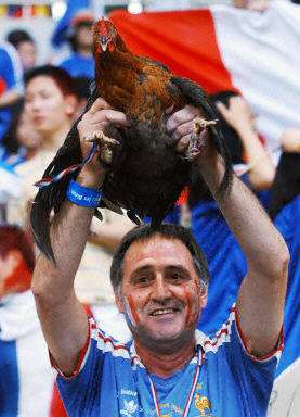 高卢雄鸡主场完胜梅斯,积分榜列第三的简单介绍 高卢雄鸡主场完胜梅斯,积分榜列第三的简单介绍