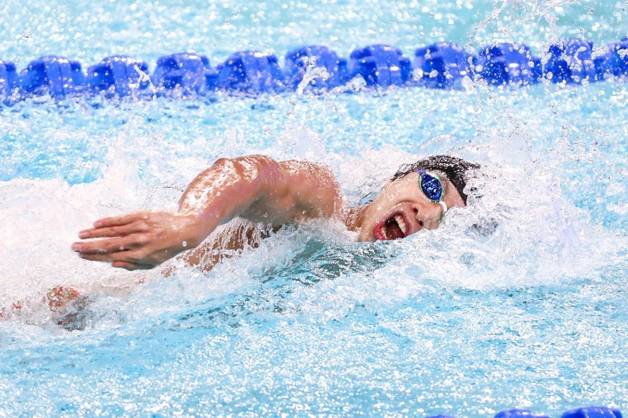 包含游泳健将“一跨入”奔向冠军，刷新世界记录的词条