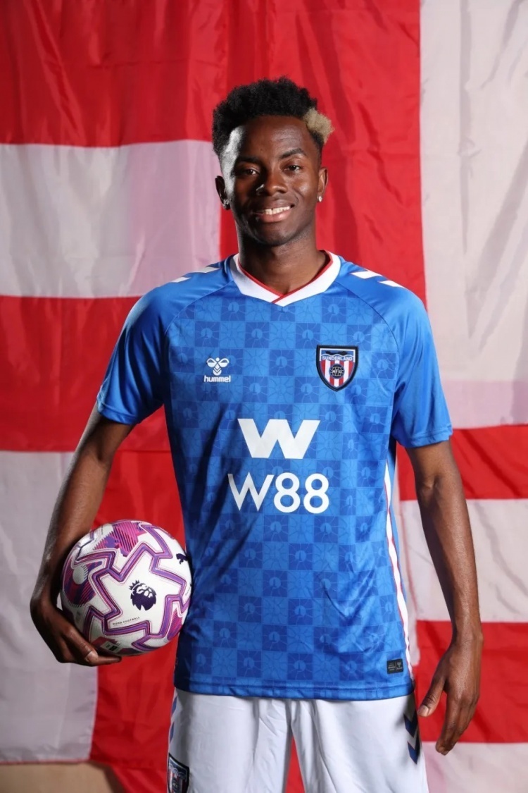 桑德兰主场险胜,保级希望重新燃起的简单介绍 桑德兰主场险胜,保级希望重新燃起的简单介绍