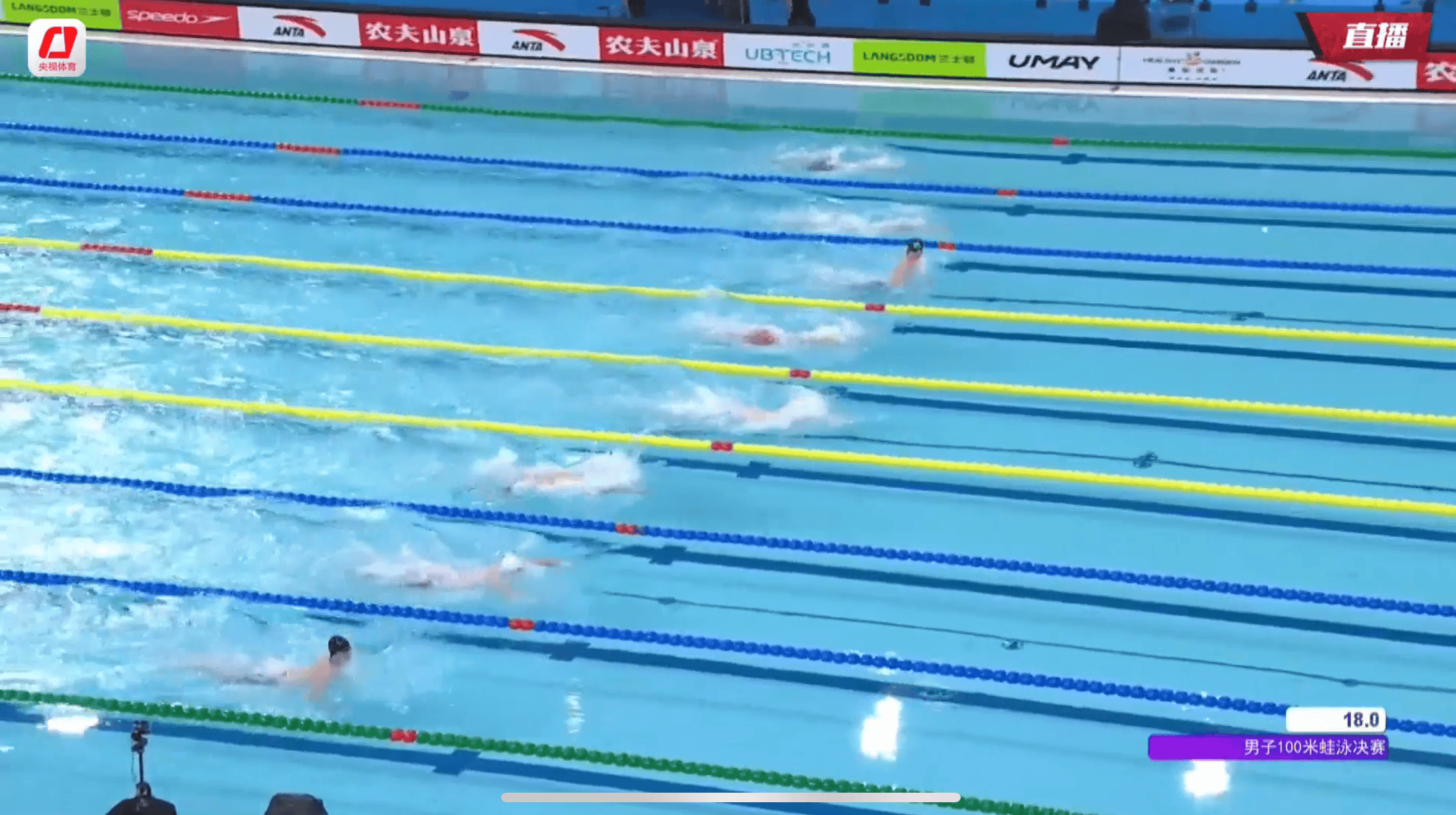 关于游泳比赛选手高歌猛进,齐聚冠军榜的信息 关于游泳比赛选手高歌猛进,齐聚冠军榜的信息