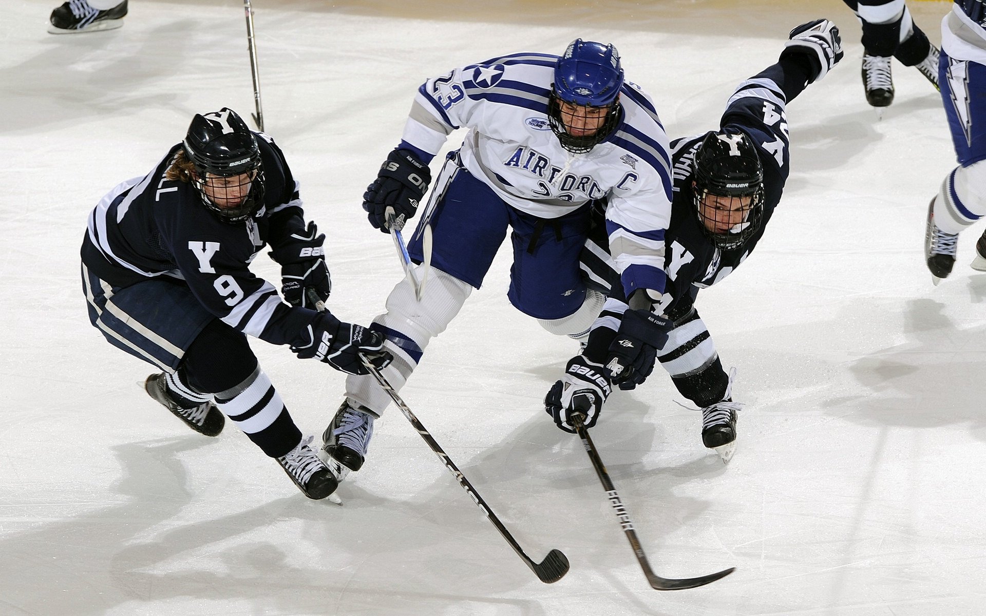 紫百合绽放基辅！佛罗伦萨客场击溃乌克兰豪门，抢七战昂首晋级