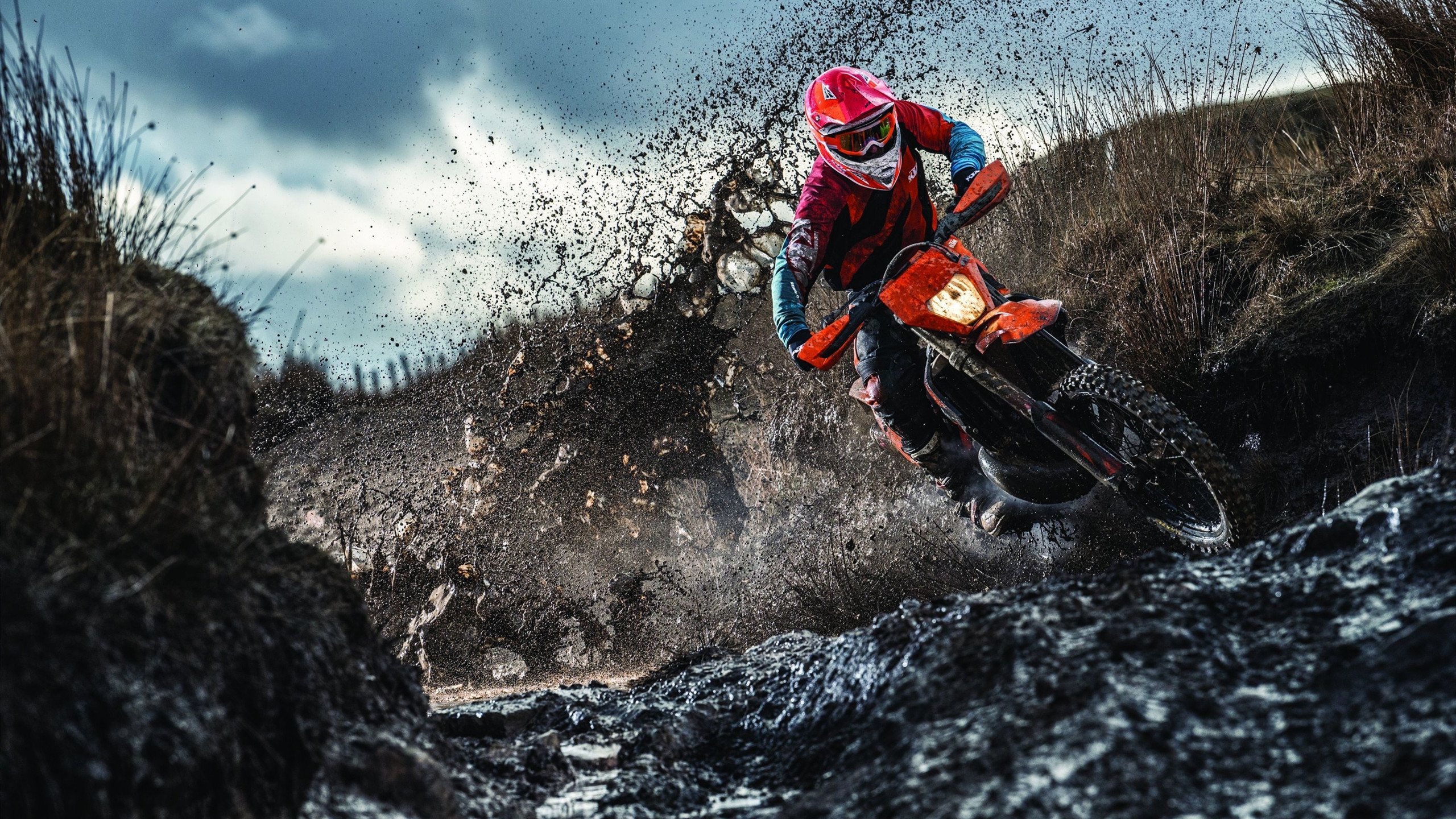 亚洲风暴，加纳镰刀割倒葡萄牙战舰，三笘薰武士刀出鞘刺向英超王座